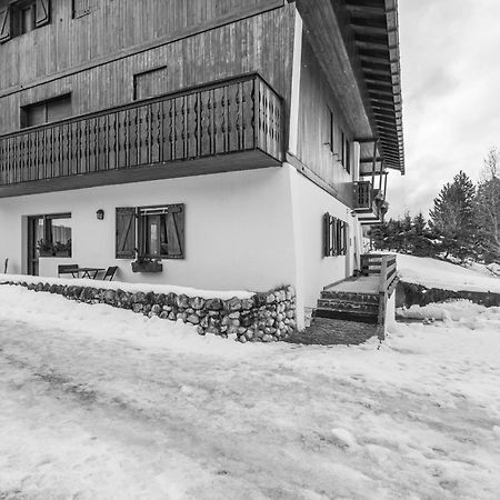 Ca' Dello Scoiattolo Apartment Кортина д'Ампецо Екстериор снимка