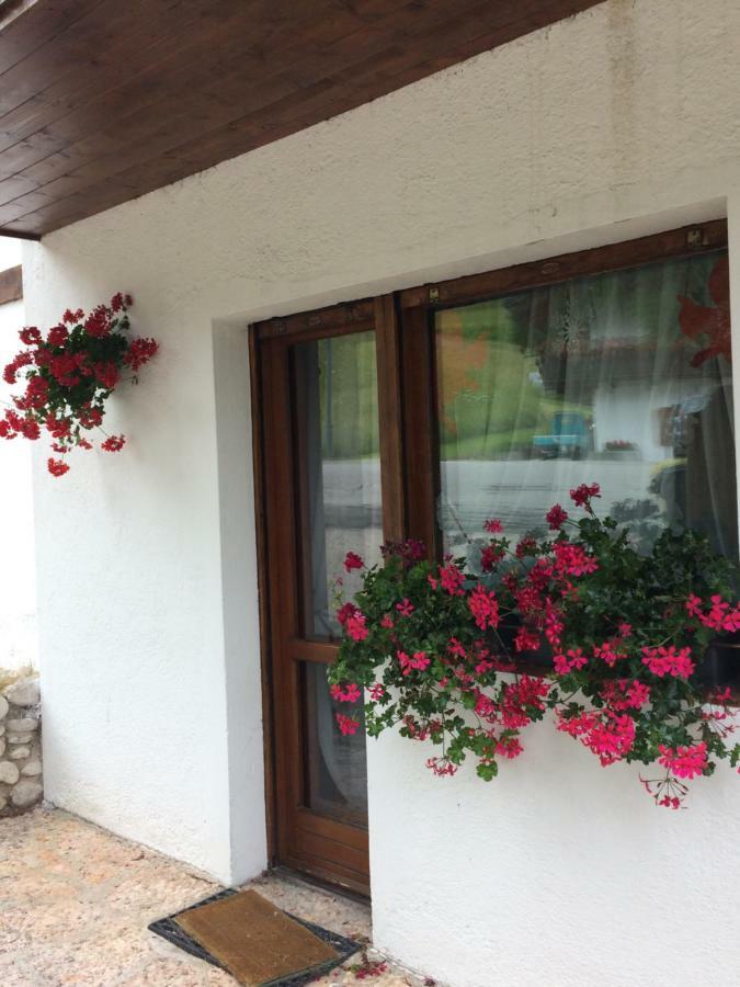 Ca' Dello Scoiattolo Apartment Кортина д'Ампецо Екстериор снимка